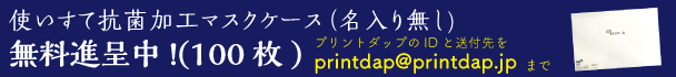 マスクケース