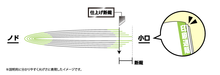¾®¸ýÉÕ¶á¤Î¥Ç¥¶¥¤¥óÃǺÛÎã